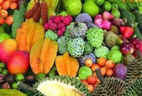 南方的水果有哪些，南方最常見的水果有哪些？圖1