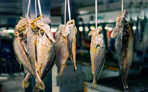 臭乳蝦是什么,臭魚爛蝦什么意思啊圖3