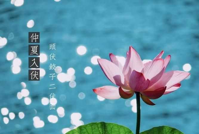 2020年入伏是哪一天一共有幾伏