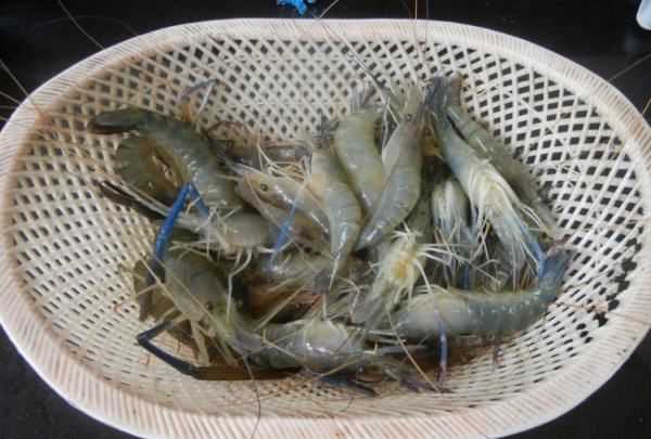 羅氏蝦煮多久能熟,白灼羅氏蝦要煮幾分鐘圖3