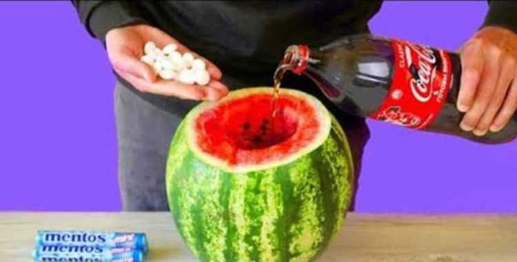 可樂和西瓜一起吃為什么會拉肚子