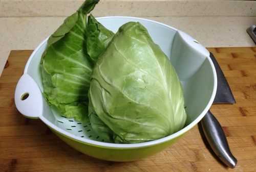 動(dòng)森大頭菜一天有幾個(gè)價(jià)格