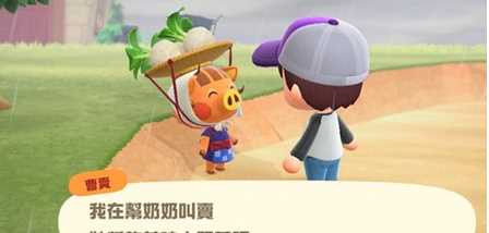 買大頭菜時(shí)間,動(dòng)森大頭菜多少一組圖4