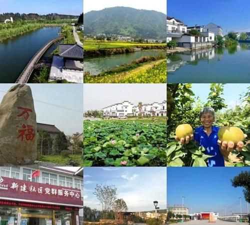 村委會(huì)和居委會(huì)有什么區(qū)別