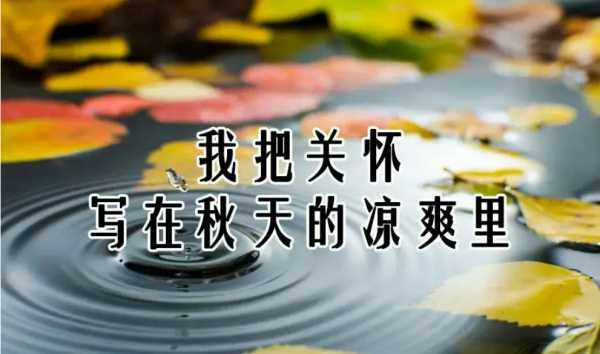 夏天結(jié)束了后面應(yīng)該怎么接,形容夏天結(jié)束迎接秋天的短句圖2