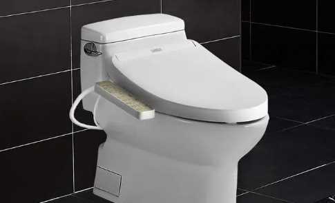 馬桶會反味,馬桶經(jīng)常反味,晚上特別臭圖3