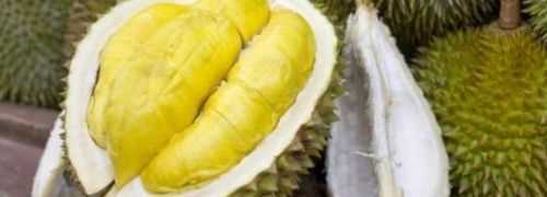 榴蓮殼是屬于廚余垃圾嘛