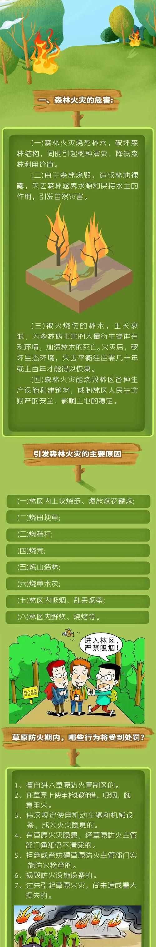 森林草原防火知識(shí)