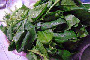 什么菜汁和面顏色最綠,菠菜汁和面怎樣做更綠不變色圖5