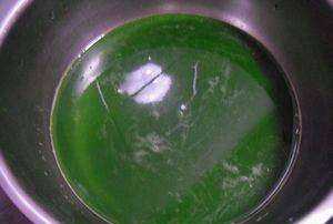 什么菜汁和面顏色最綠,菠菜汁和面怎樣做更綠不變色圖8