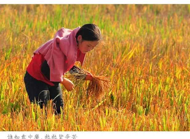 粒粒皆辛苦打一成語