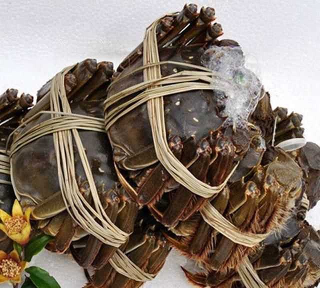 大閘蟹幾月份上市，鄱陽(yáng)湖大閘蟹何時(shí)上市？圖5