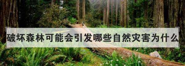 破壞森林可能會(huì)引發(fā)哪些自然災(zāi)害為什么,破壞森林對(duì)環(huán)境的危害圖2