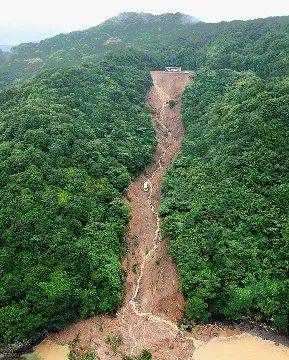 破壞森林可能會(huì)引發(fā)哪些自然災(zāi)害為什么,破壞森林對(duì)環(huán)境的危害圖3