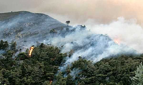 破壞森林會(huì)帶來(lái)哪些危害