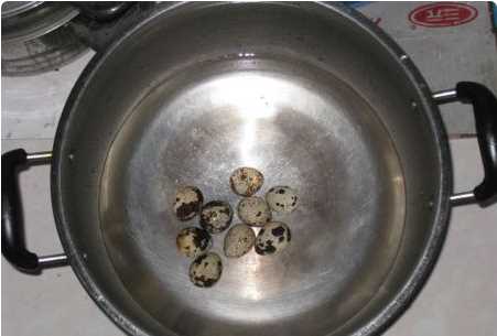 煮鵪鶉蛋多長時間,煮鵪鶉蛋需要煮幾分鐘圖3