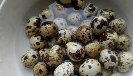煮鵪鶉蛋多長時間,煮鵪鶉蛋需要煮幾分鐘圖7