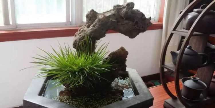 左邊一個(gè)提手旁，右邊一個(gè)昌，怎么讀怎么念