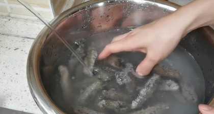 海參的泡發(fā)方法具體步驟竅門,怎樣泡發(fā)海參的正確方法視頻圖2