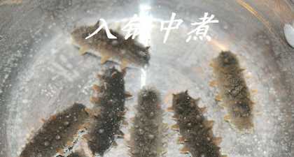 海參的泡發(fā)方法具體步驟竅門,怎樣泡發(fā)海參的正確方法視頻圖6