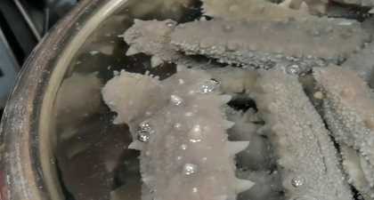海參的泡發(fā)方法具體步驟竅門,怎樣泡發(fā)海參的正確方法視頻圖7