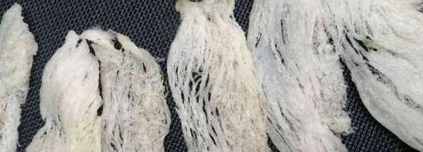 大燕條和燕盞的區(qū)別,燕絲和燕窩有什么區(qū)別圖2