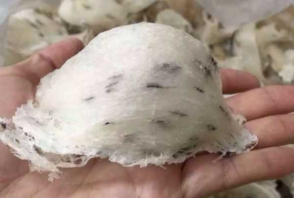 大燕條和燕盞的區(qū)別,燕絲和燕窩有什么區(qū)別圖3