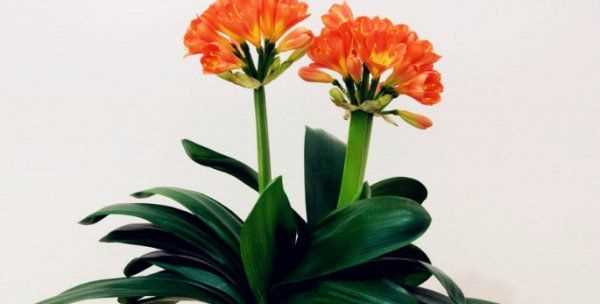 怎么判斷見(jiàn)干見(jiàn)濕,見(jiàn)干見(jiàn)濕和間干間濕有什么區(qū)別圖7