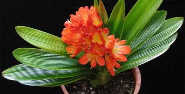 怎么判斷見(jiàn)干見(jiàn)濕,見(jiàn)干見(jiàn)濕和間干間濕有什么區(qū)別圖8