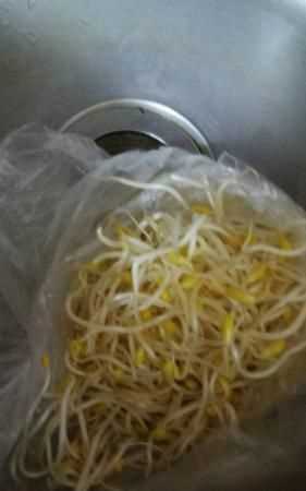 黃豆芽放冰箱幾天還能吃嗎