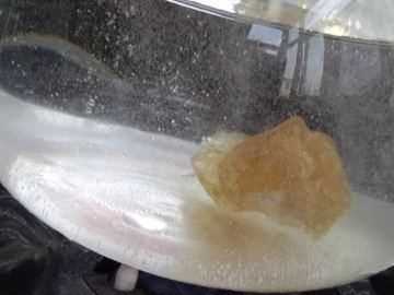 枇杷泡蜂蜜要去核,枇杷泡蜂蜜去皮好還是不去皮好圖5