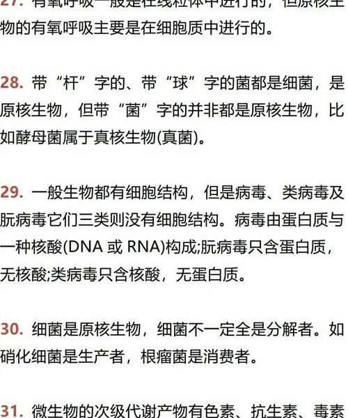 56有什么特殊含義嗎