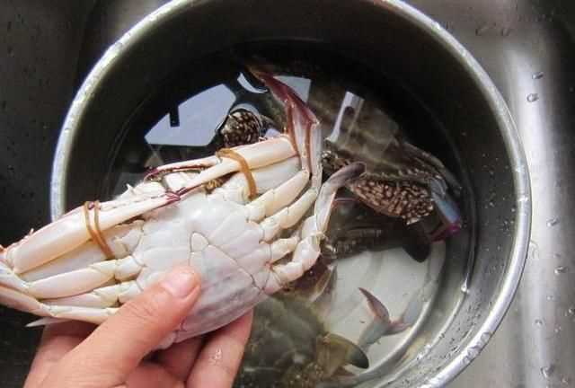 大閘蟹怎么保存才能活得久