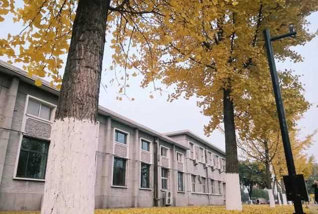 八月是秋天嗎，八月八日是秋天的第一天嗎？圖6