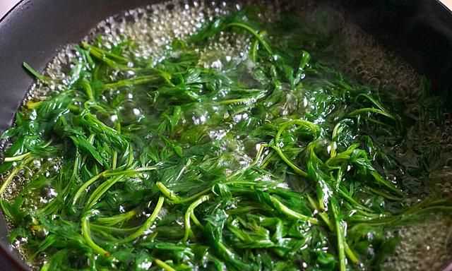 青團(tuán)不放冰箱會(huì)壞嗎，家庭版青團(tuán)簡(jiǎn)單做法？圖6