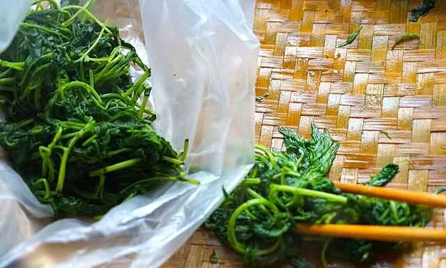 青團(tuán)不放冰箱會(huì)壞嗎，家庭版青團(tuán)簡(jiǎn)單做法？圖10