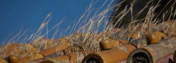 五級(jí)風(fēng)有多大,五級(jí)風(fēng)是什么程度視頻圖1