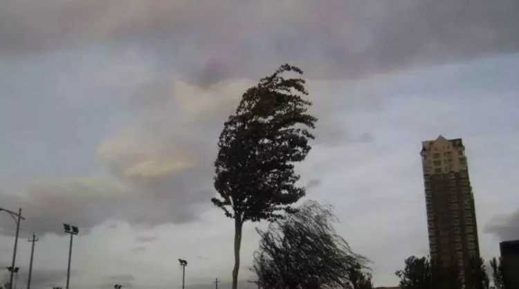 五級(jí)風(fēng)的威力有多大?