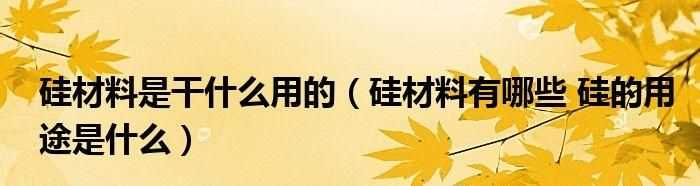 硅單質(zhì)的用途高中化學
