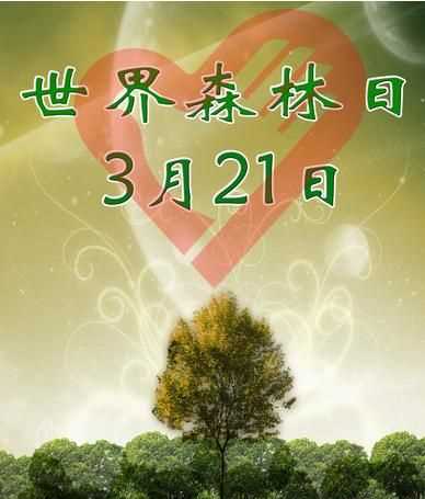 保護(hù)森林的重要性,森林對人類生存和發(fā)展的重要性