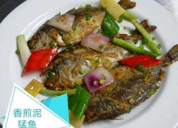 海泥鰍魚的做法,海泥鰍魚的做法大圖10