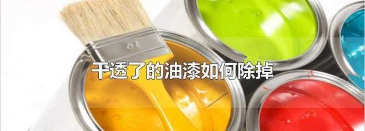 衣服上干透了的油漆如何除掉