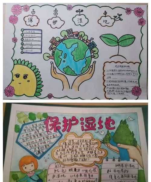 保護(hù)濕地水鳥的意義