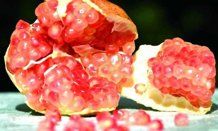 怎樣判斷石榴粒壞了圖片