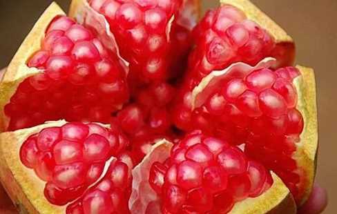 軟籽石榴變質(zhì)是什么樣,軟籽石榴怎么看壞沒(méi)壞圖3