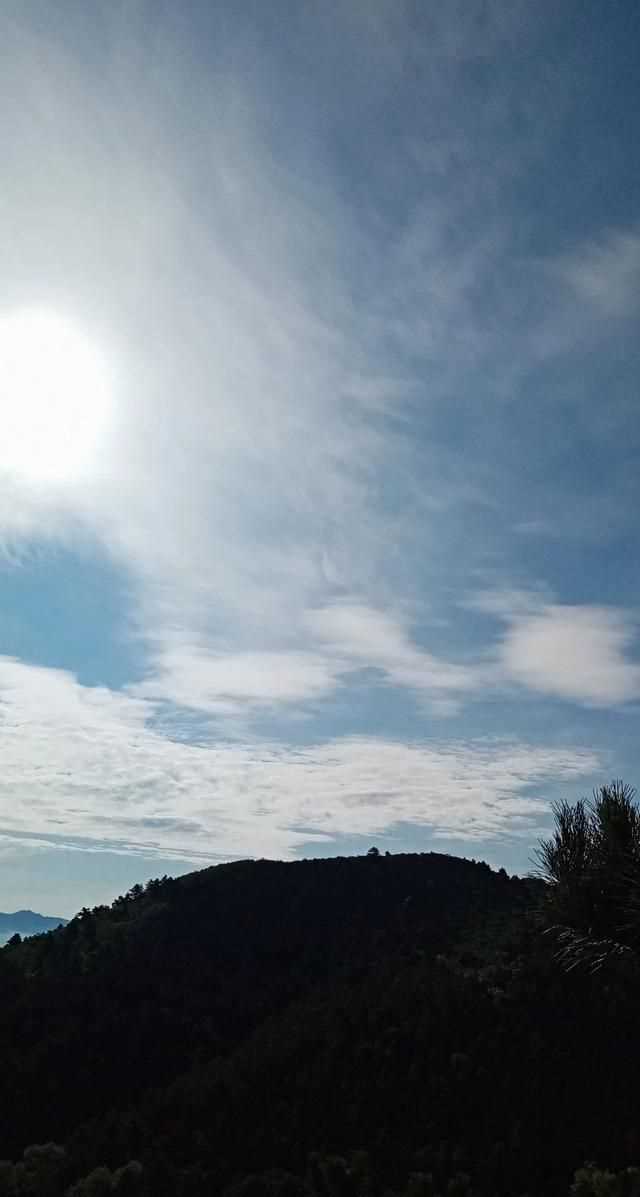 松茸生長在什么地方，北松茸生長在什么地方？圖11