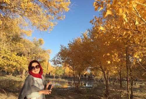 額濟(jì)納胡楊林屬于哪個(gè)省