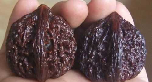 文玩桃核發(fā)黑怎么處理呢?