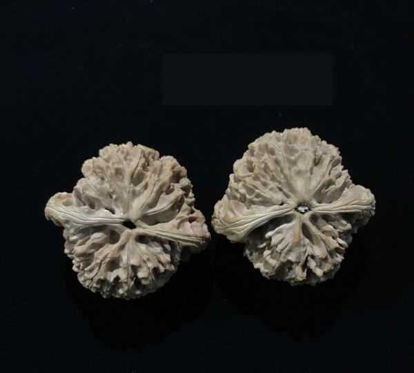 文玩核桃盤(pán)黑了能恢復(fù),文玩桃核發(fā)黑怎么處理呢?圖3