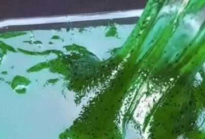 不用膠水怎么做起泡膠,起泡膠怎么做家用材料不用膠水圖10